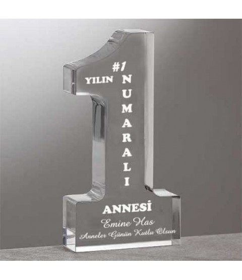 Yılın 1 Numaralı Annesi Ödülü