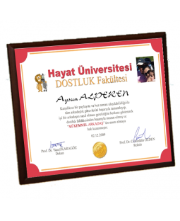 Mükemmel Arkadaş Diploması - Ön Yüzü Metal Ahşap Plaket